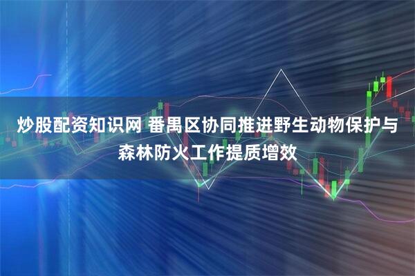 炒股配资知识网 番禺区协同推进野生动物保护与森林防火工作提质增效